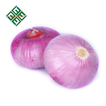 varieties fresh onion